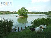 昆陽池公園 789m