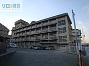宝塚市立宝塚第一小学校 550m