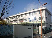 幼稚園、保育園「区立弘道保育園まで280m」