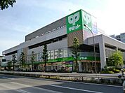 サミットストア 砧環八通り店（242m）