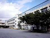 世田谷区立山崎小学校（494m）