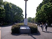 代々木公園（347m）