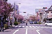 桜新町商店街（376m）