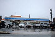 ローソン中川馬手町一丁目店 617m