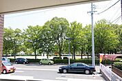 公園が目の前にあります。