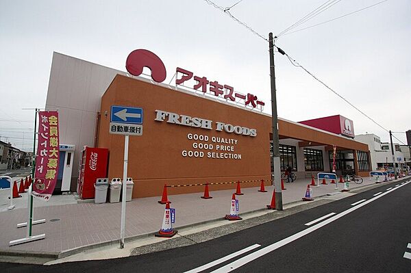画像9:アオキスーパー上名古屋店 700m