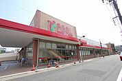 フィール花の木店 428m