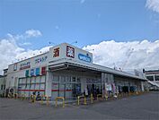 ウエルシア大津堅田店（289m）