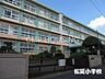 周辺：平塚市立松延小学校 徒歩7分。 520m