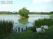 昆陽池公園 990m
