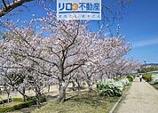 瑞ケ池公園 889m