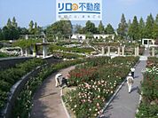 荒牧バラ公園 214m