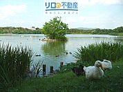 昆陽池公園 1203m