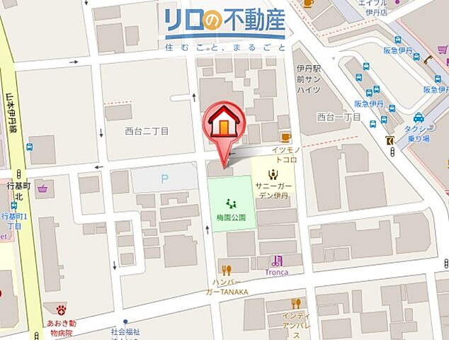 地図