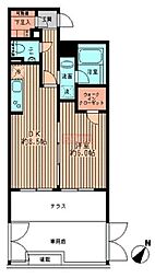プラティノ代々木 1階1LDKの間取り