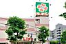 周辺：ライフ新大塚店 563m