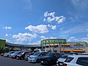ウニクス南古谷（ヤオコー・スギ薬局・セキチュー・他専門店）