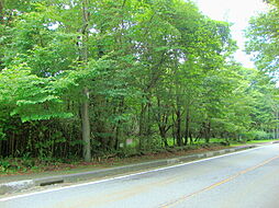物件画像 南都留郡富士河口湖町富士ヶ嶺土地