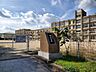 周辺：田上小学校 845m