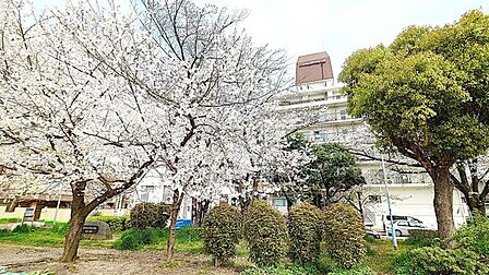 春には美しい桜を望め、季節の移ろいを感じられる魅力的なロケーションです♪