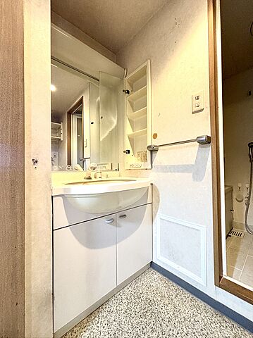 洗面 エスカイア羽村第二　最上階 8階/-