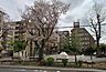 周辺：六万公園まで（320m）