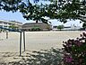 周辺：富士見小学校まで（240m）
