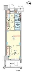 RJRプレシア千鳥 1DKの間取図画像