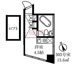 カサメヒカーナ ワンルームの間取図画像