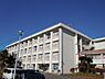 周辺：【小学校】野比小学校まで806ｍ