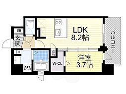 プランドール新北野 8階/-