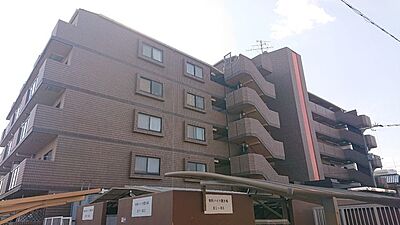 外観 外観