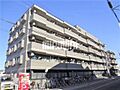 テルプシコレ東村山