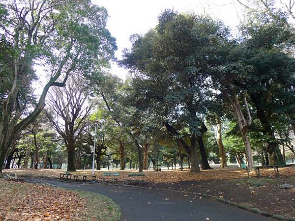 画像15:【公園】北区立中央公園まで839ｍ