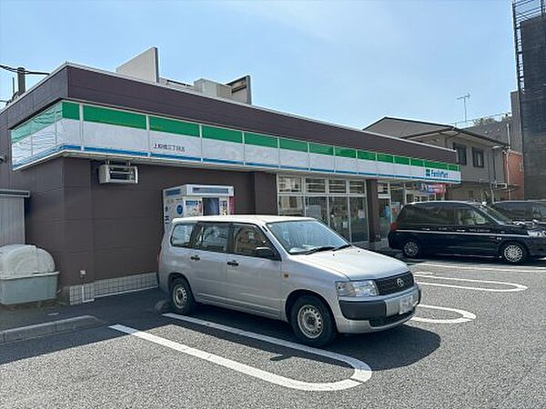 画像8:【コンビニエンスストア】ファミリーマート 上板橋三丁目店まで364ｍ