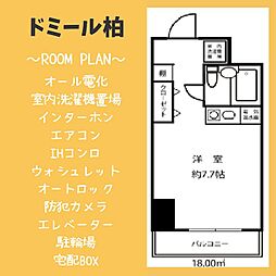 ドミール柏 13階