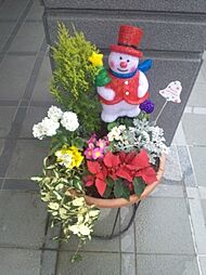 8 / 11