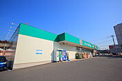 ドラッグセイムス 東松戸店（480m）