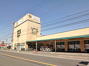 Y’s mart Discover（ワイズマートディスカ） 西船本郷店（331m）
