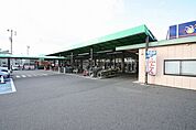 ピアゴ 西春店 323m