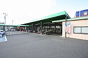 ピアゴ　西春店 350m