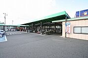 ピアゴ西春店 528m