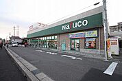 ナフコ中央店 891m