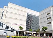Yストア西春店 227m