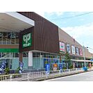 スーパー「サミットストア横浜岡野店まで756m」