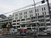 役所「市川市役所まで170m」