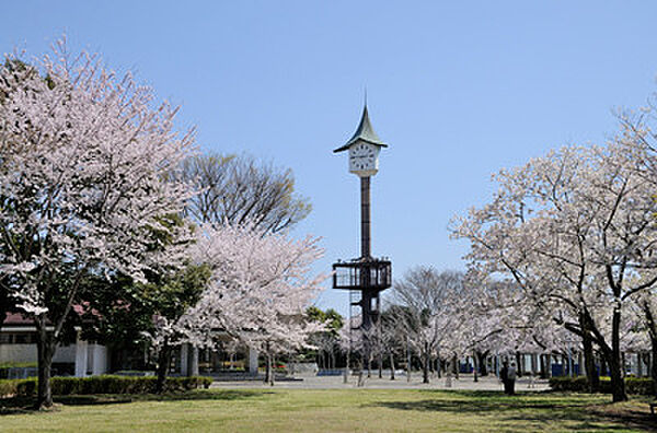 サリーヒルズ B102｜茨城県つくば市千現1丁目(賃貸アパート2DK・1階・55.33㎡)の写真 その8