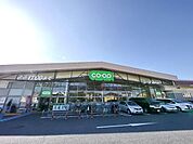 コープ新所沢店 1188m