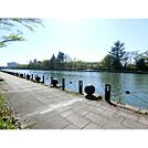 公園「富山県富岩運河環水公園まで905ｍ」