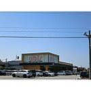 スーパー「albis奥田店まで916ｍ」